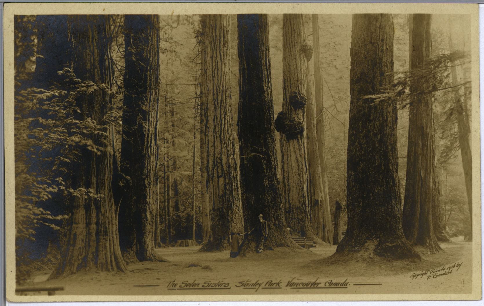 Wish You Were Here - ROEDDE HOUSE MUSEUM SFU Seven Sisters front