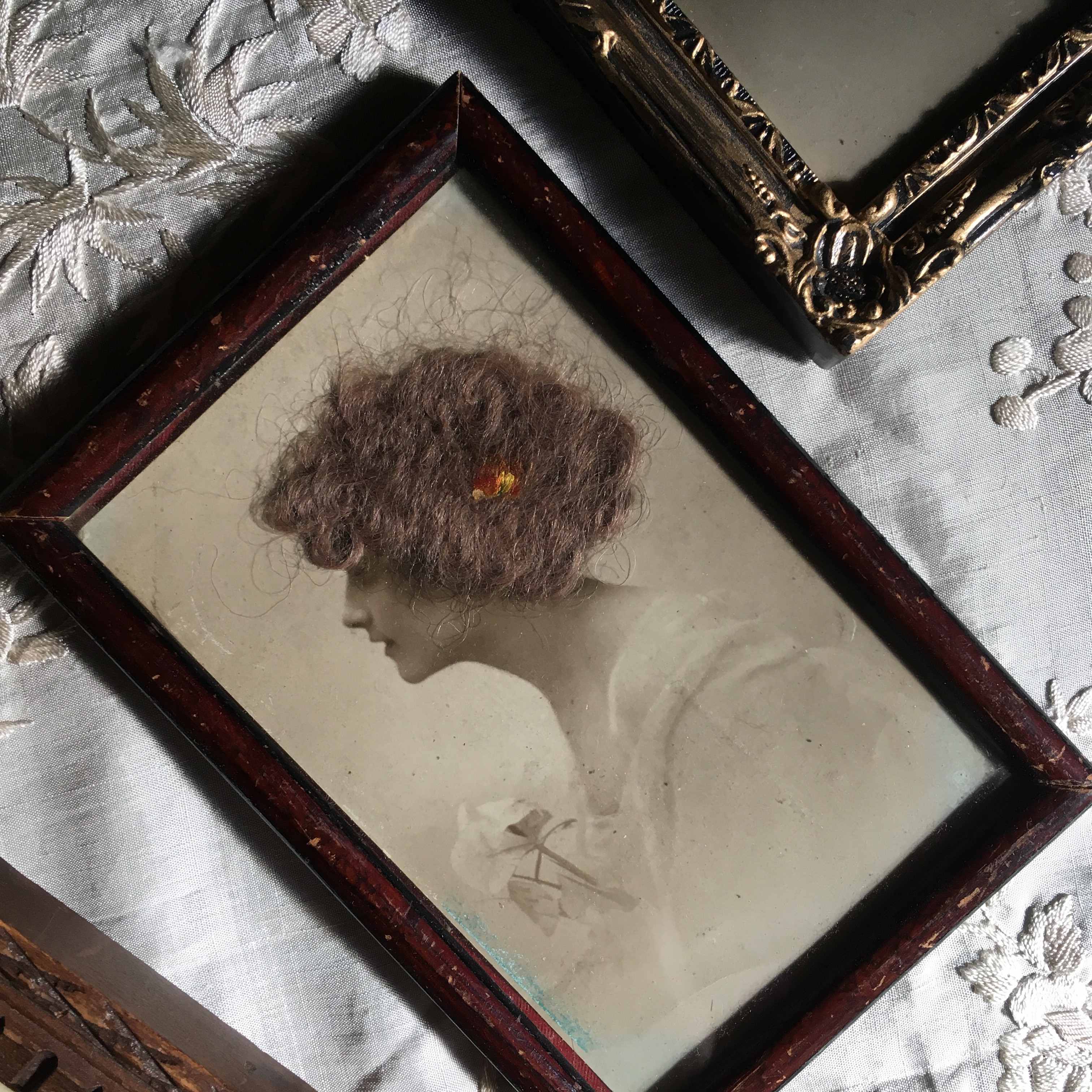 Curious Collectors - ROEDDE HOUSE MUSEUM culture days hair portrait
