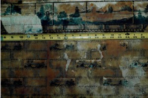 Kitchen1 P6