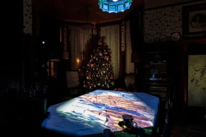 Collections Room Restoration - ROEDDE HOUSE MUSEUM Carol image